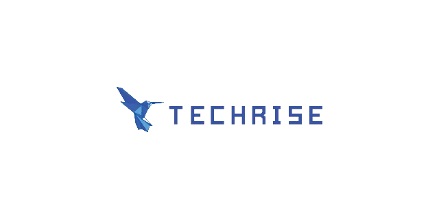 Techrise logo